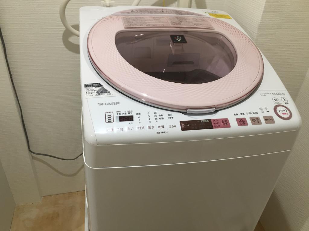 Common Area (Washing Machine)
