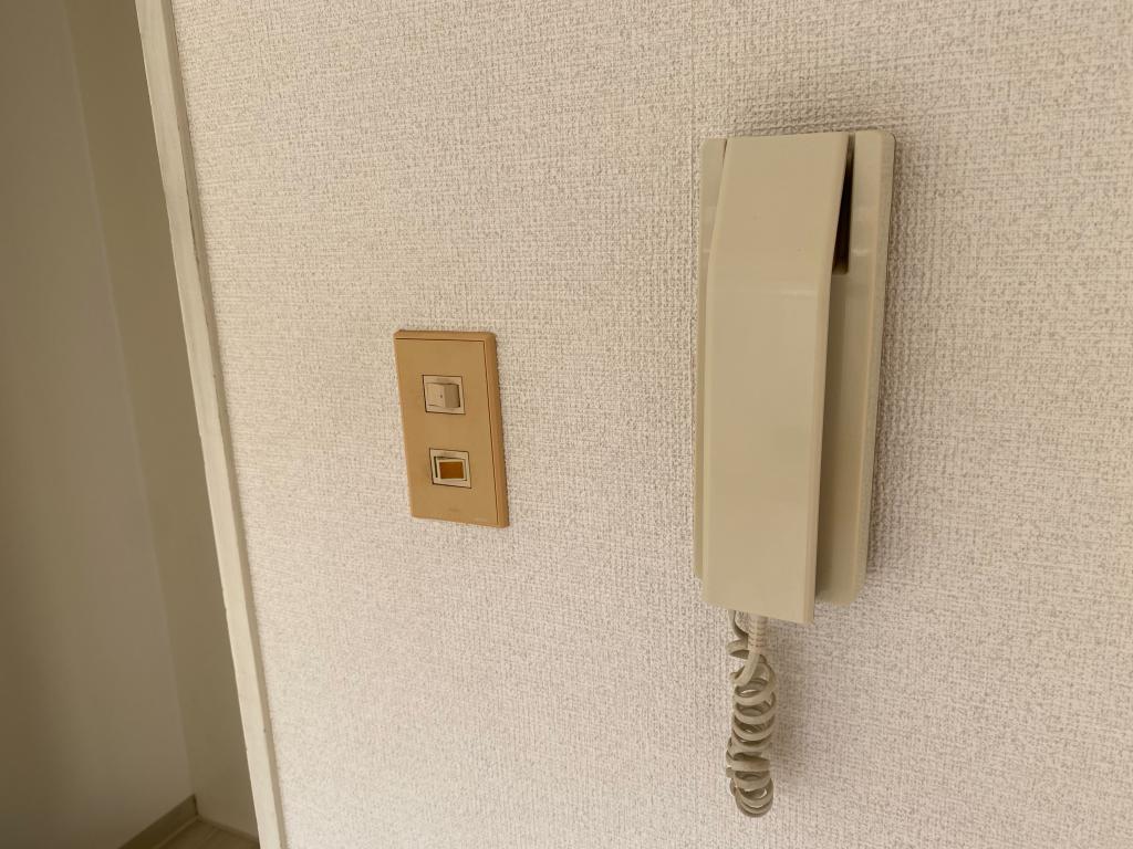 Auto Lock Security