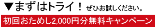まずはトライ！